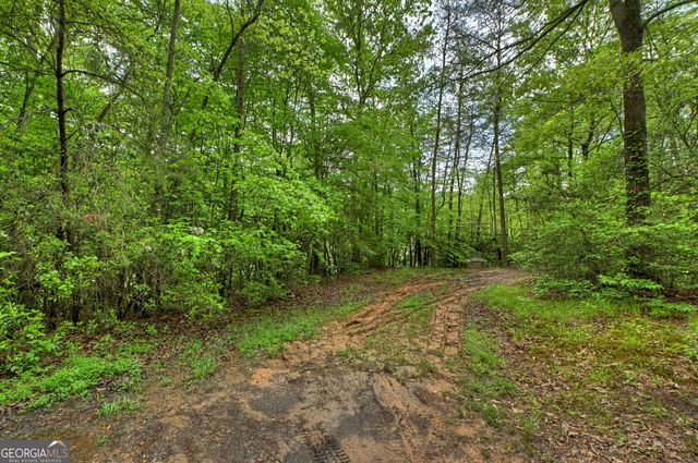 388 Jones Street 18-25, Blue Ridge, GA 30513