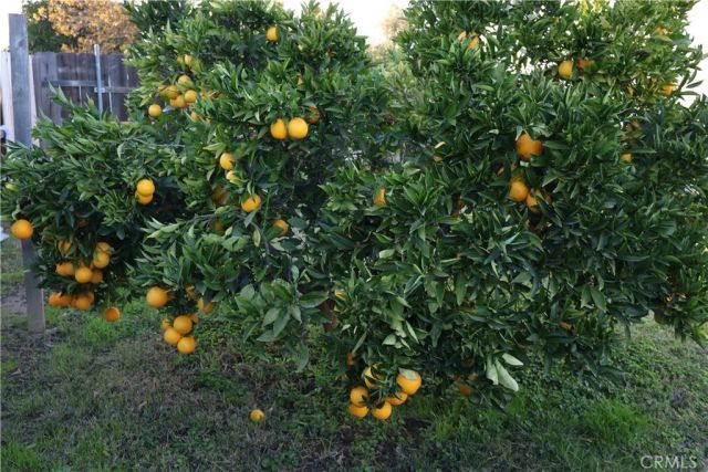 1311 6th Avenue, Corning, CA 96021