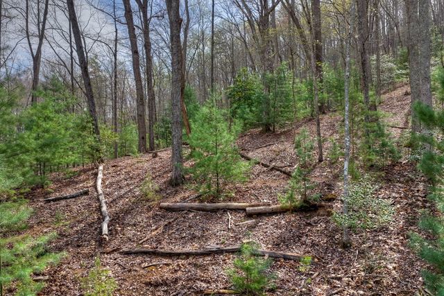 57 Meadow Hill, Morganton, GA 30560