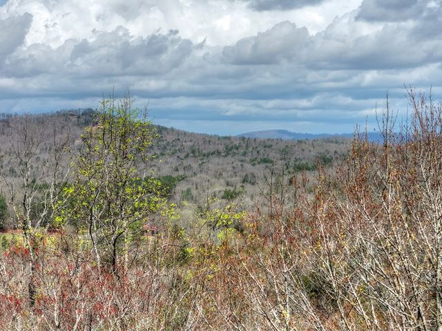 57 Meadow Hill, Morganton, GA 30560