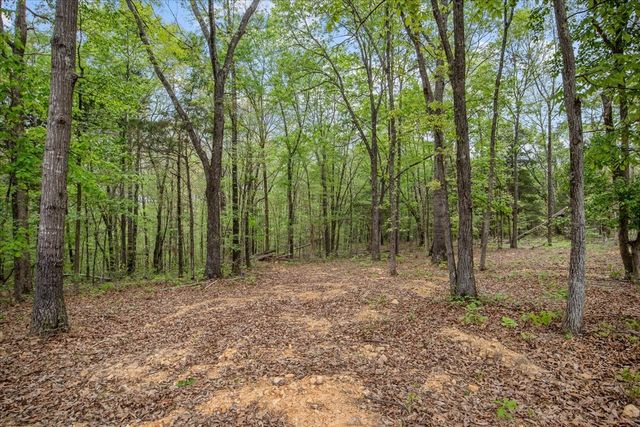 555 Parrish Ln, Mc Ewen, TN 37101
