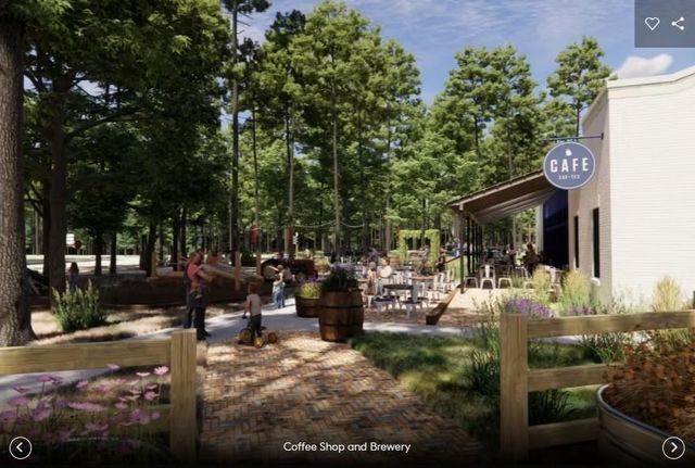 8667 Jam Session Drive, Montgomery, TX 77316