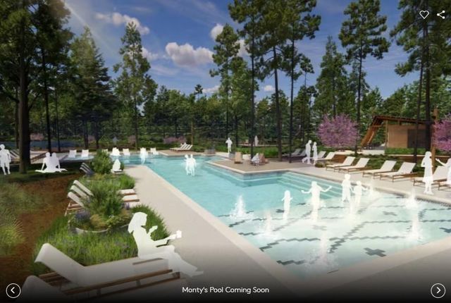 8667 Jam Session Drive, Montgomery, TX 77316