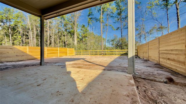 8667 Jam Session Drive, Montgomery, TX 77316