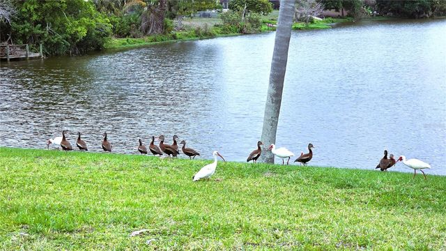 1430 AKEN STREET, Port Charlotte, FL 33952