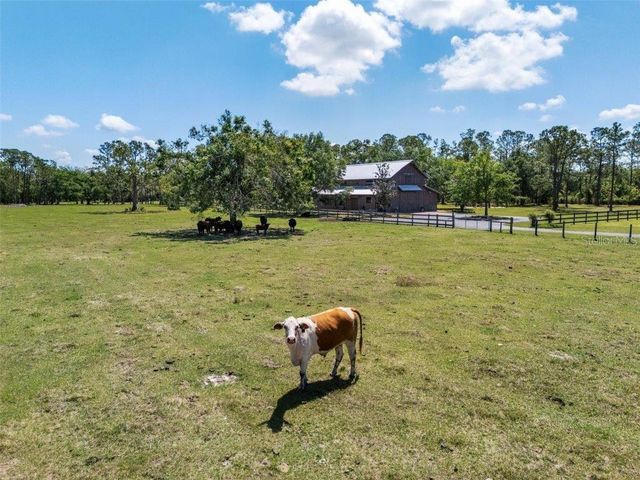 12615 RIVER ROAD, Myakka City, FL 34251