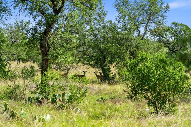 620 Rio Vista RD, Johnson City, TX 78636