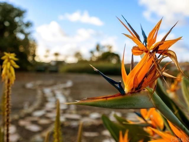 12705 War Horse Street, San Diego, CA 92129