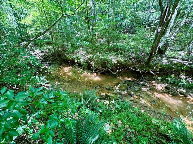 243 Hunter Ridge Lane, Ararat, NC 27007