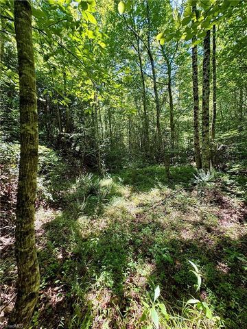 243 Hunter Ridge Lane, Ararat, NC 27007