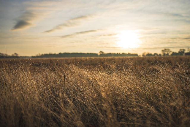 573 Fm 980 Road, Huntsville, TX 77320