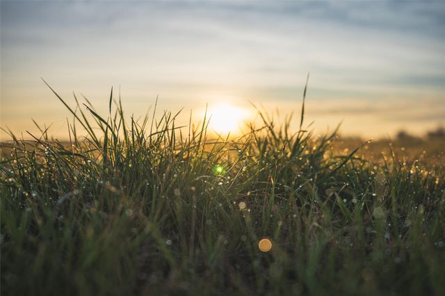 573 Fm 980 Road, Huntsville, TX 77320