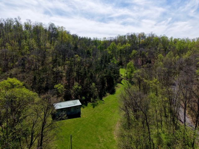 321 Peytons Creek Rd, Pleasant Shade, TN 37145