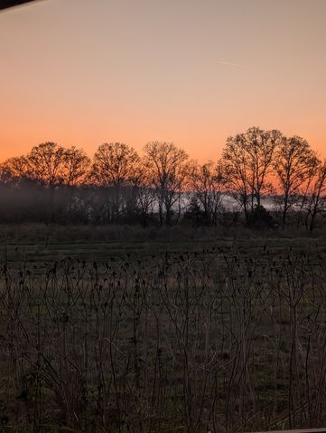 293 Hawkins Rd, Westmoreland, TN 37186