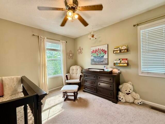 3725 Shearwater Lane, East Lansing, MI 48823