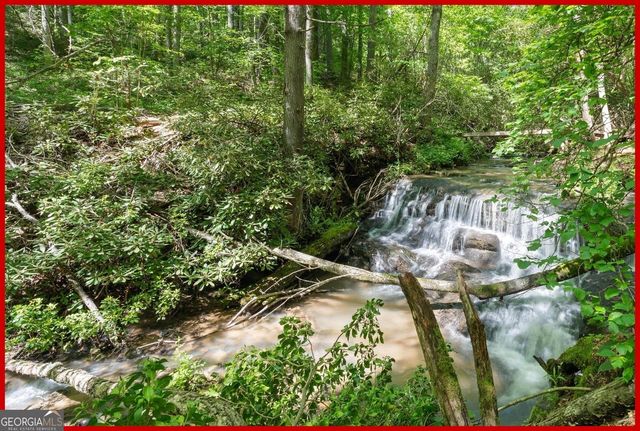 8378 Dillard Road, Scaly, NC 28775