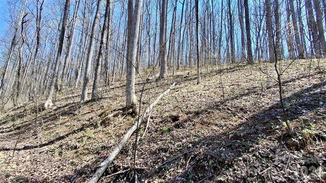 00 Maynor Drive, Sylva, NC 28779