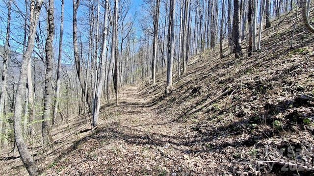 00 Maynor Drive, Sylva, NC 28779