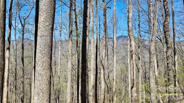 00 Maynor Drive, Sylva, NC 28779