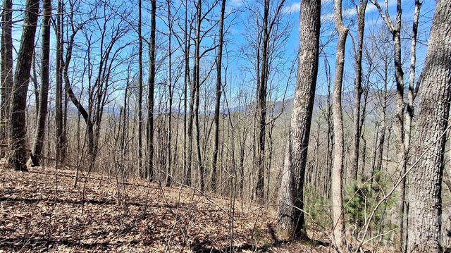 00 Maynor Drive, Sylva, NC 28779