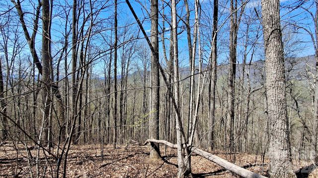 00 Maynor Drive, Sylva, NC 28779