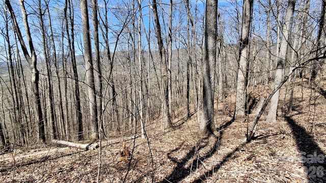 00 Maynor Drive, Sylva, NC 28779