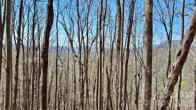 00 Maynor Drive, Sylva, NC 28779
