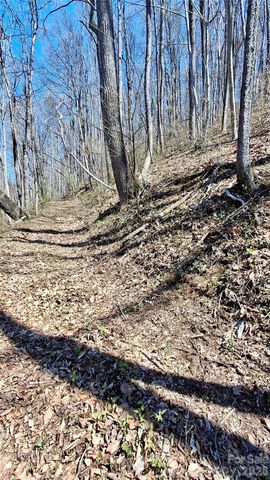 00 Maynor Drive, Sylva, NC 28779