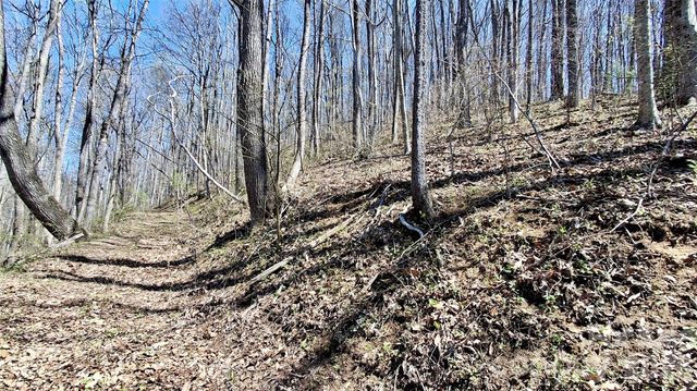 00 Maynor Drive, Sylva, NC 28779
