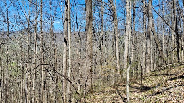 00 Maynor Drive, Sylva, NC 28779