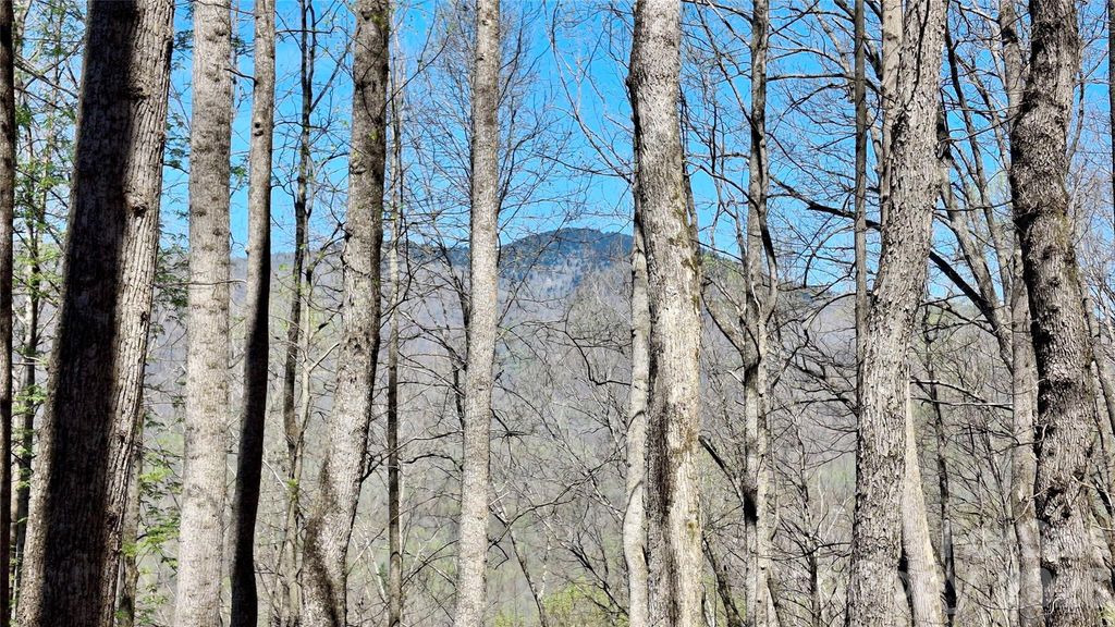 00 Maynor Drive, Sylva, NC 28779