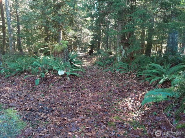 9306 Dandy Place, Rockport, WA 98283