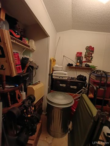 120 Town Line Road, Skandia, MI 49885