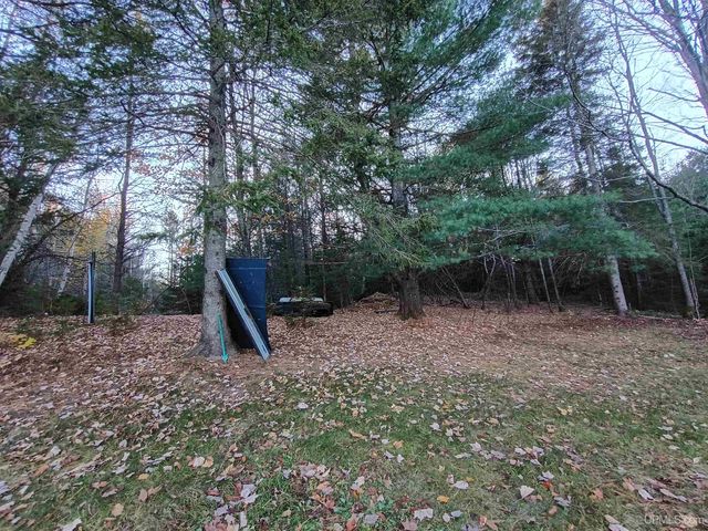 120 Town Line Road, Skandia, MI 49885