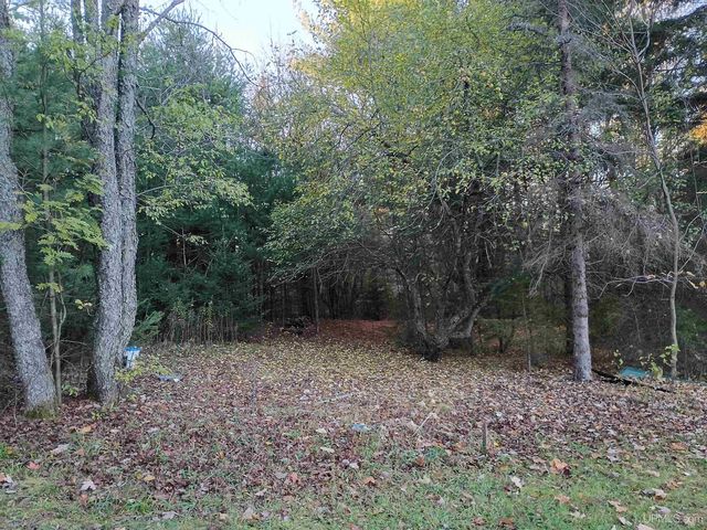 120 Town Line Road, Skandia, MI 49885