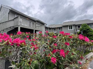 367 Skyleaf Drive D-5, Sugar Mountain, NC 28604