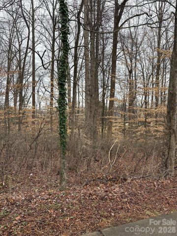 1062 Elizabeth Manor Court, Matthews, NC 28105