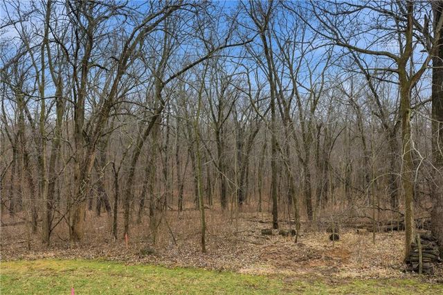 22223 159th Street, Kearney, MO 64060