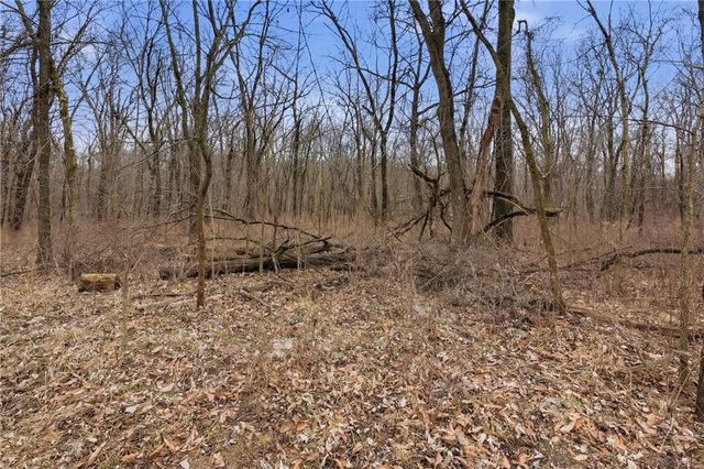 22223 159th Street, Kearney, MO 64060