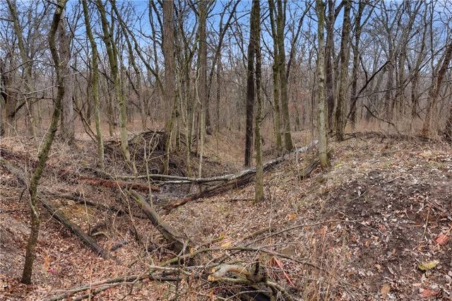 22223 159th Street, Kearney, MO 64060