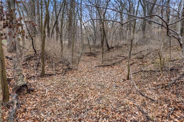 22223 159th Street, Kearney, MO 64060