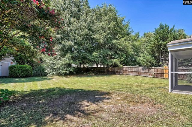 113 Wingspan Way, Chapin, SC 29036