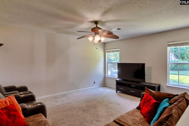 113 Wingspan Way, Chapin, SC 29036