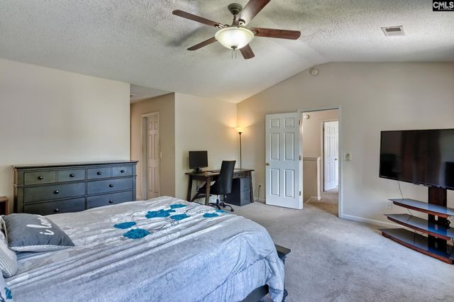 113 Wingspan Way, Chapin, SC 29036