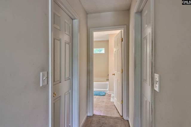 113 Wingspan Way, Chapin, SC 29036