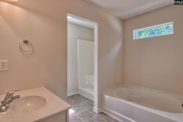 113 Wingspan Way, Chapin, SC 29036