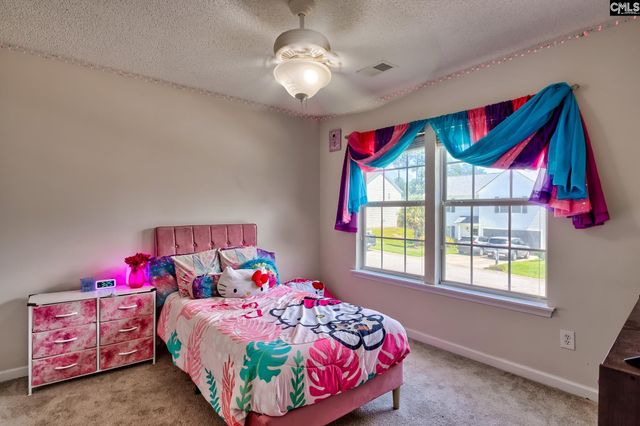 113 Wingspan Way, Chapin, SC 29036