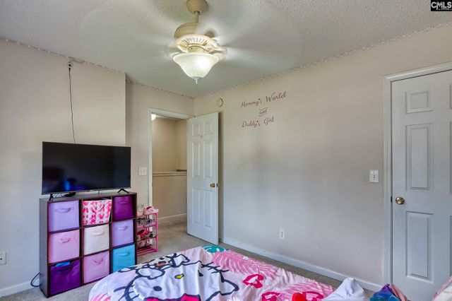 113 Wingspan Way, Chapin, SC 29036