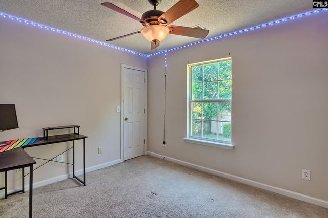 113 Wingspan Way, Chapin, SC 29036