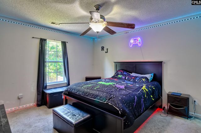 113 Wingspan Way, Chapin, SC 29036
